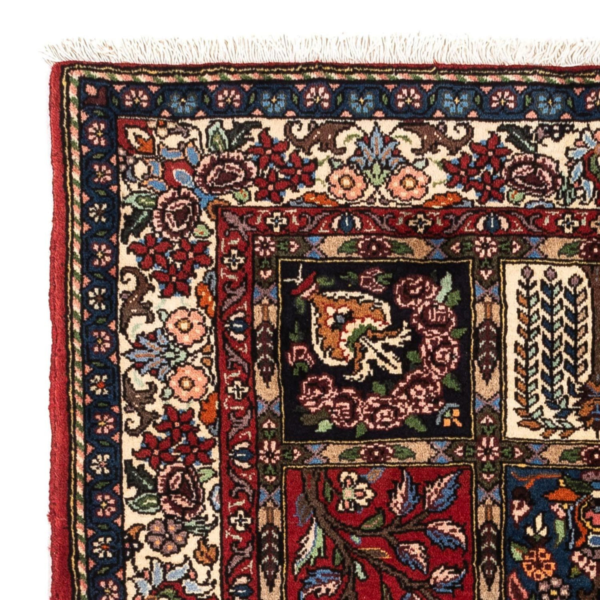 Bakhtiari Tappeto 102x150cm - Tappeto persiano