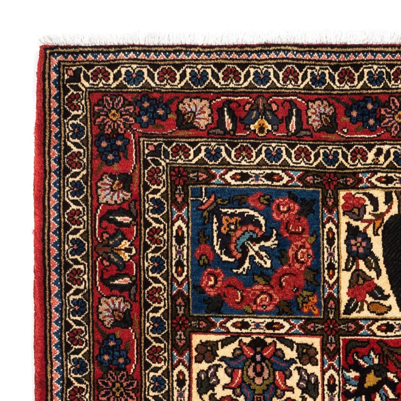 Tapis Bakhtiari Tapis 153x103cm - Tapis persan