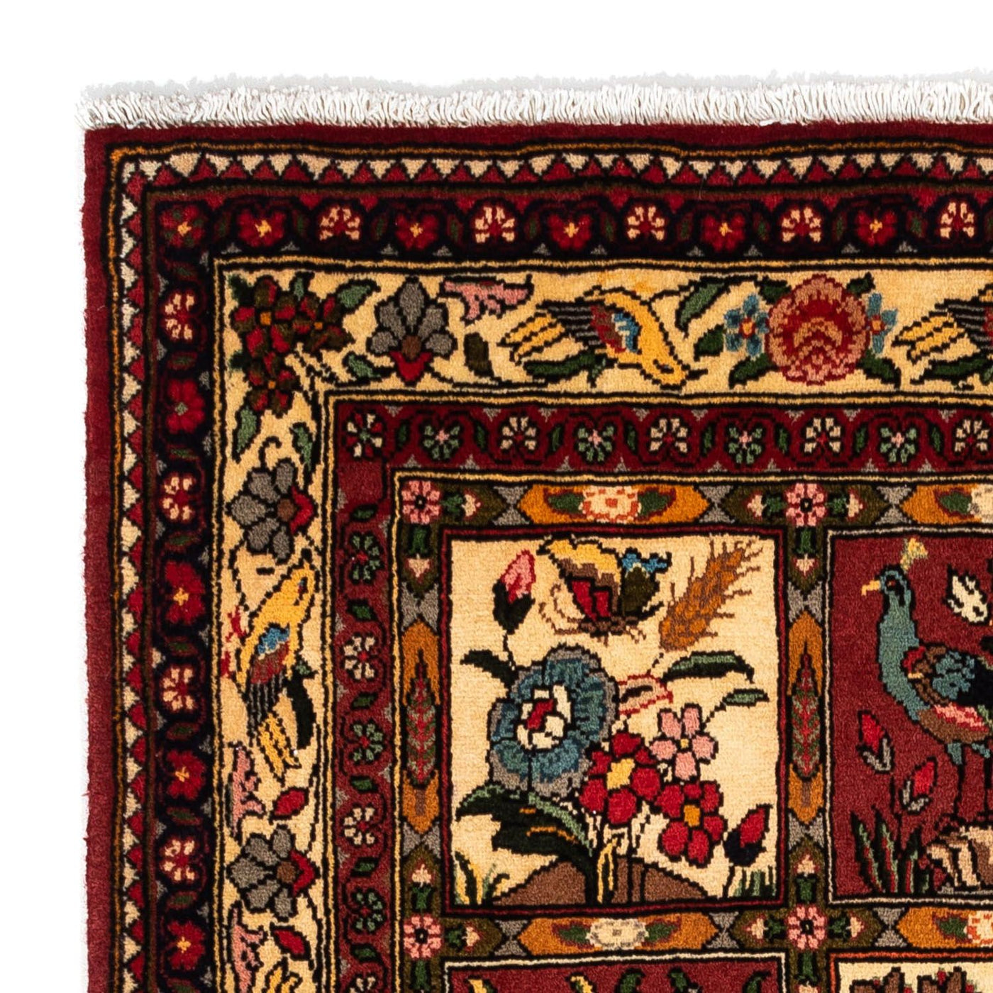 Tapis Bakhtiari Tapis 172x110cm - Tapis persan