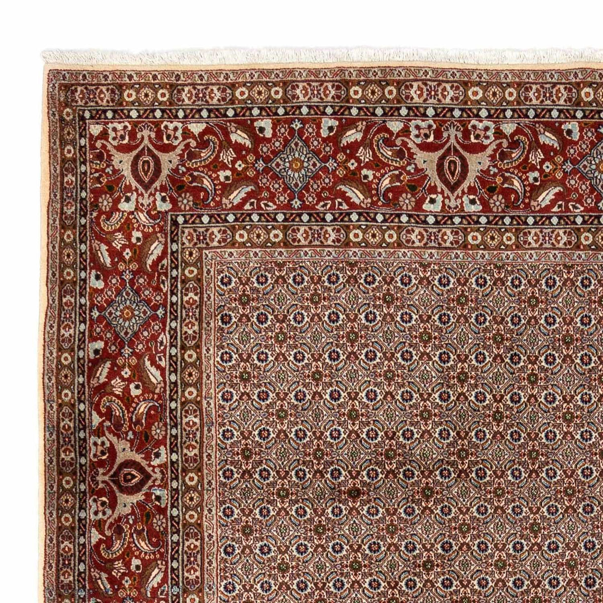Tapis de Moud Tapis 260x350cm - Tapis persan