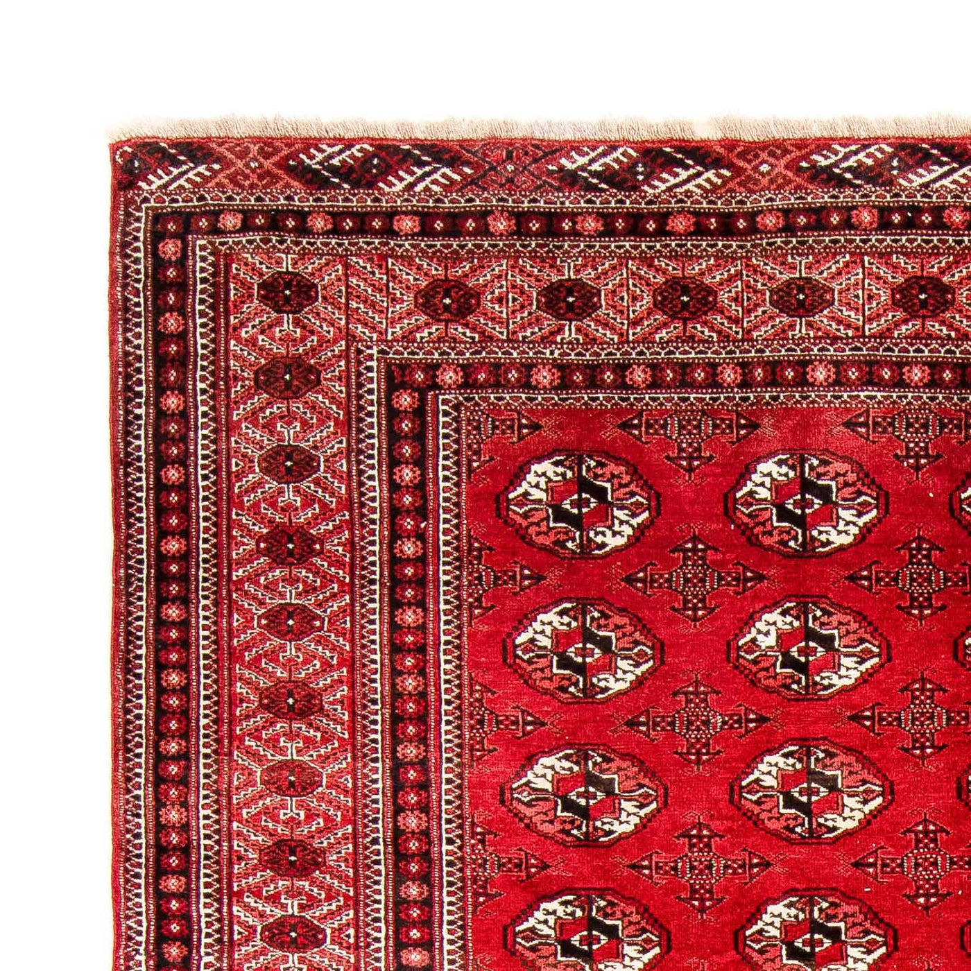 Tappeto Turkaman 368x248cm - Tappeto persiano