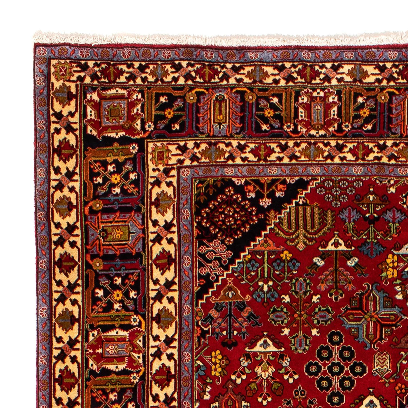 Meymeh Tapis 323x203cm - Tapis persan