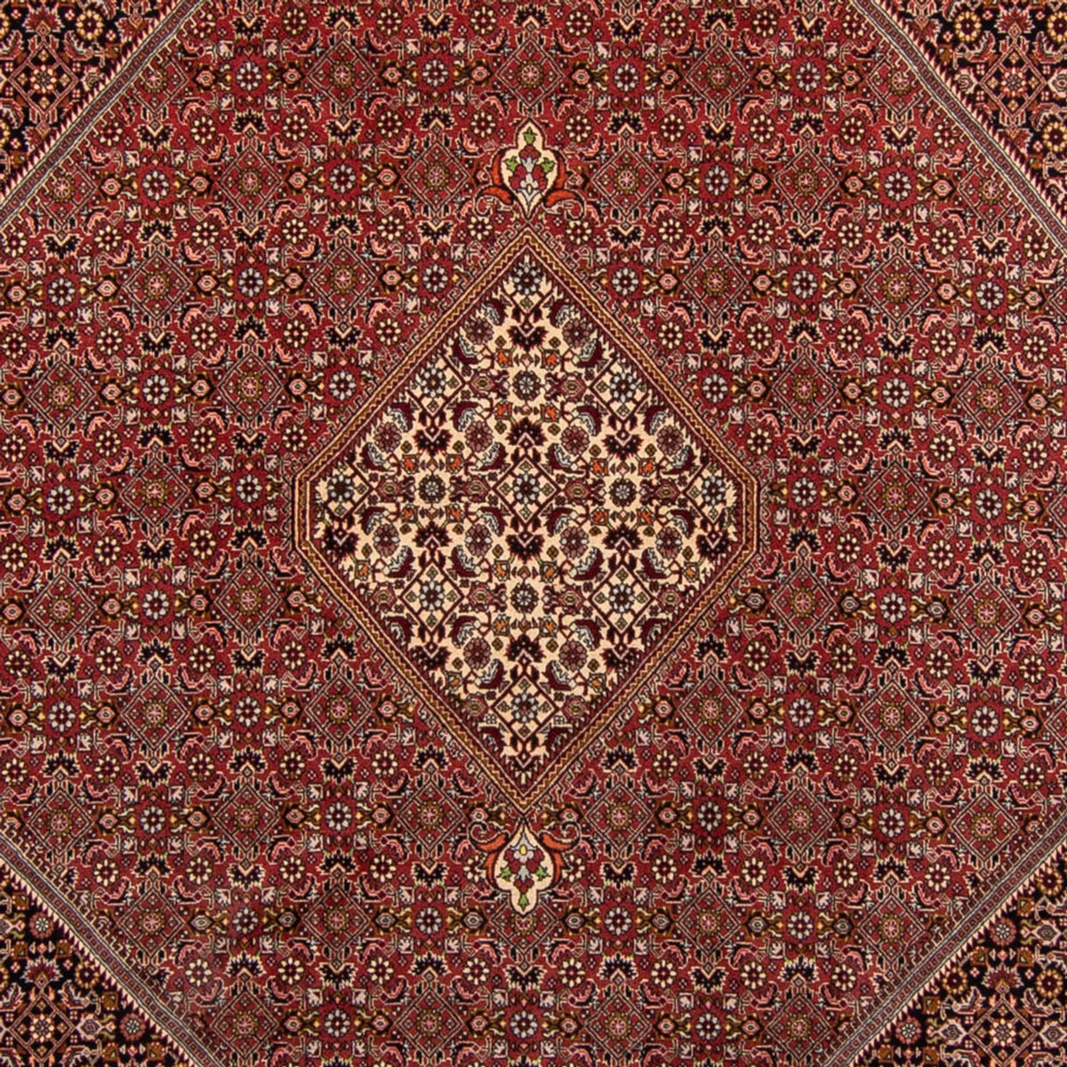 Perserteppich - Bidjar 338 x 250 cm