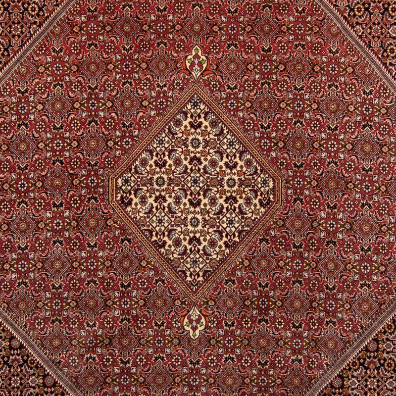 Perserteppich - Bidjar 338 x 250 cm
