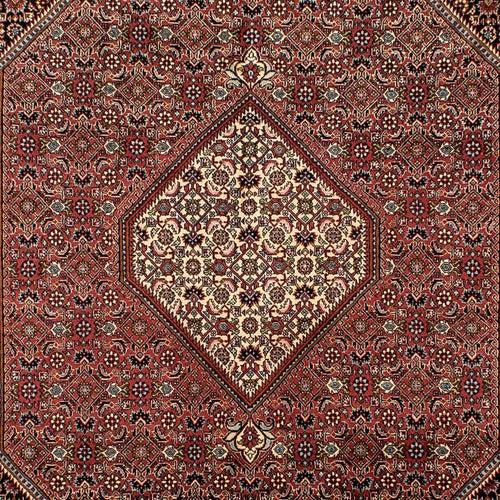 Perserteppich - Bidjar 298 x 195 cm