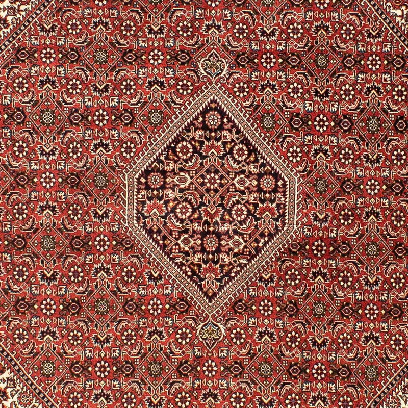 Perserteppich - Bidjar 242 x 173 cm