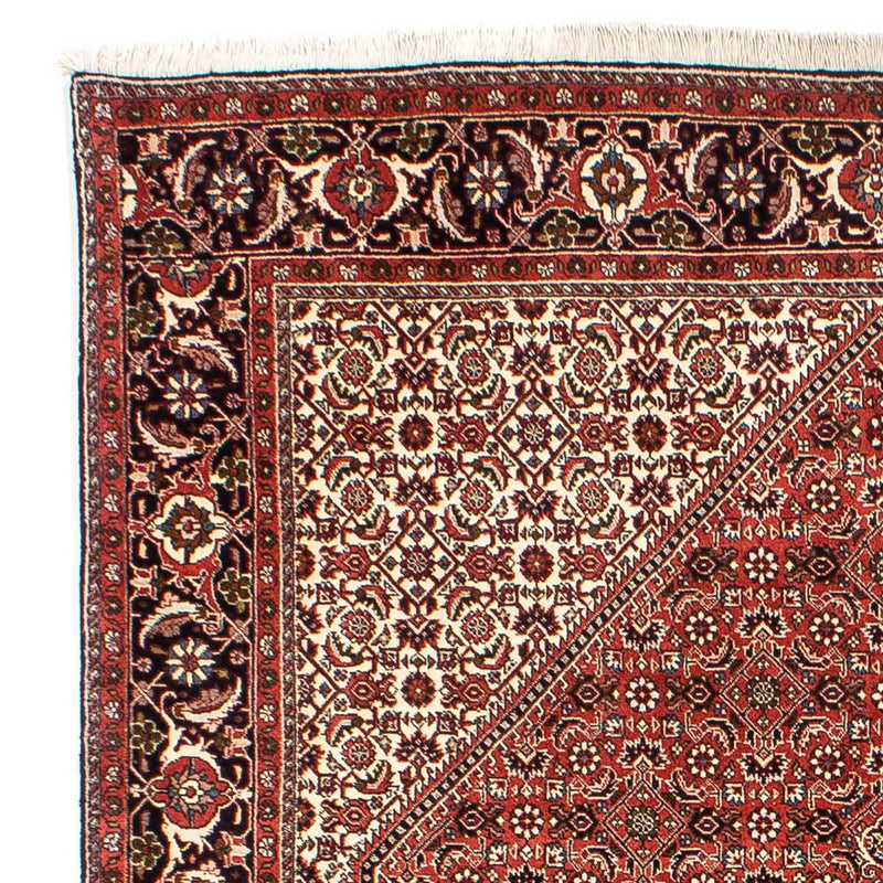 Perserteppich - Bidjar 242 x 173 cm