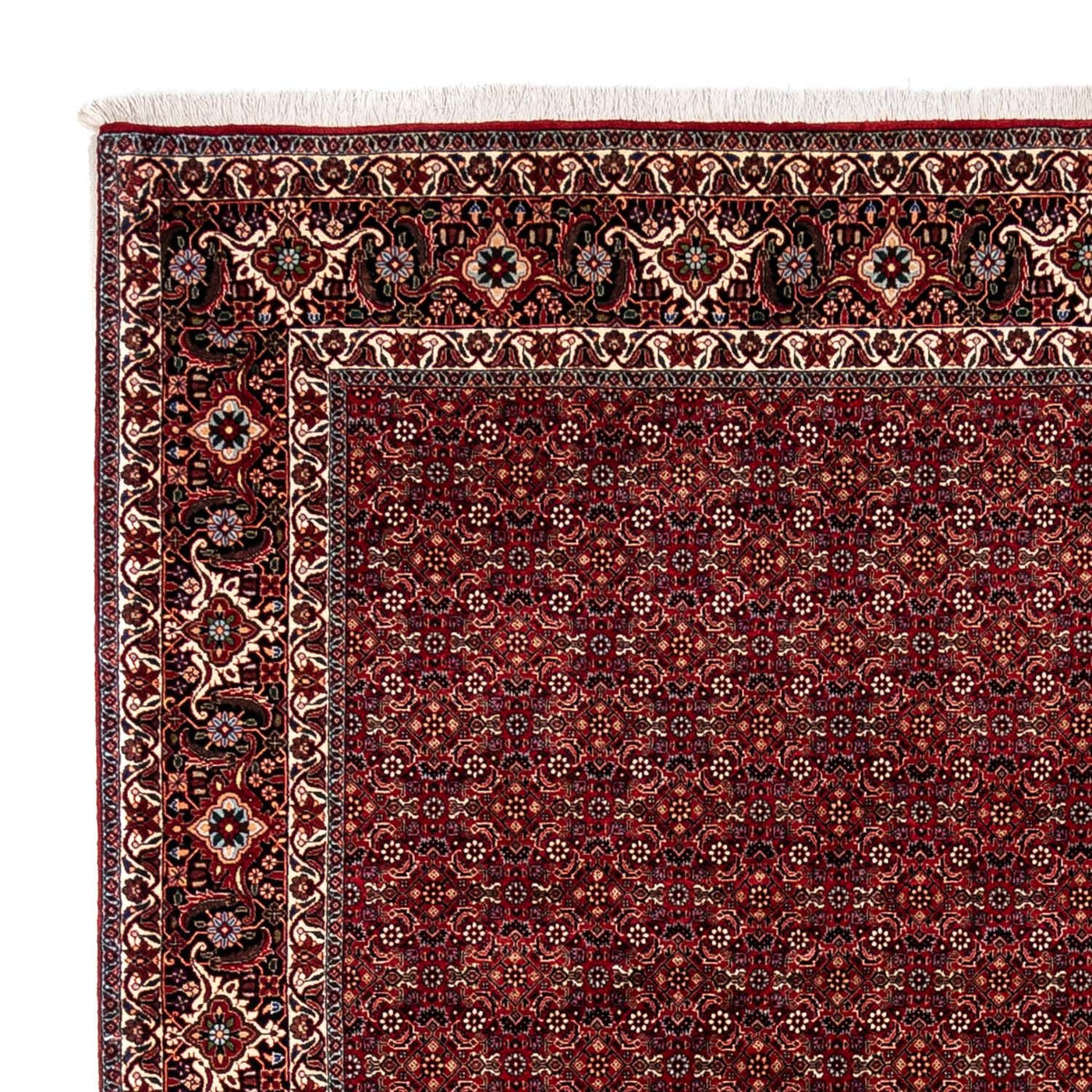 Bidjar - Zanjan Tapis 350x250cm - Tapis persan