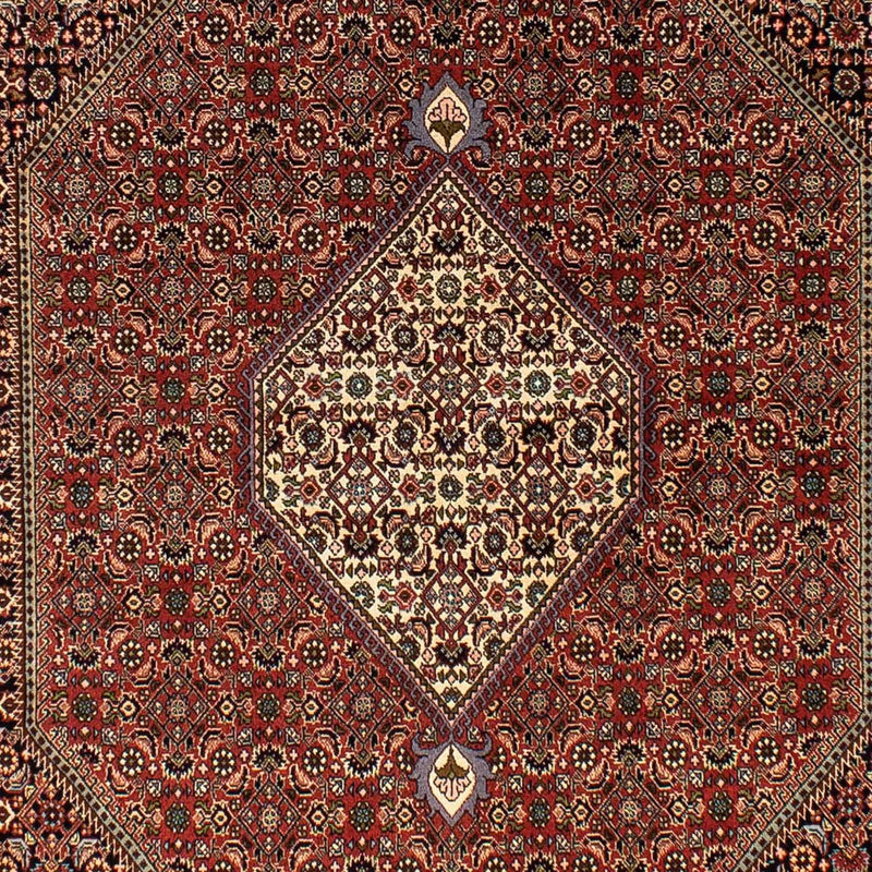 Perserteppich - Bidjar 250 x 173 cm