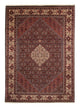 Tapis de Bidjar Tapis 243x348cm - Tapis persan - marron