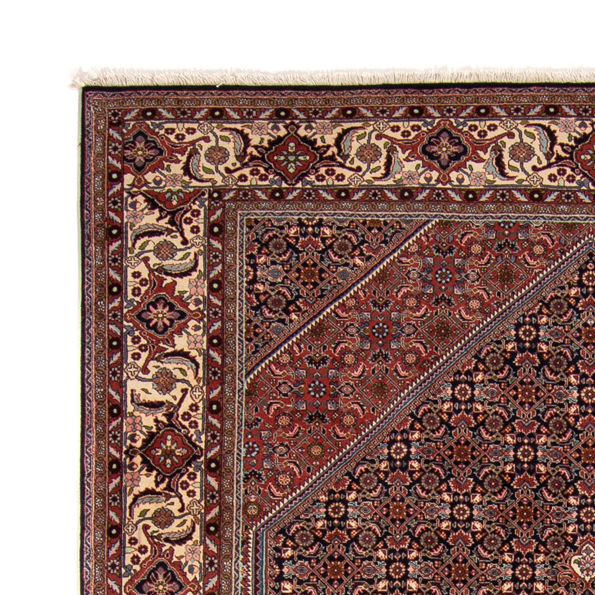 Tapis de Bidjar Tapis 243x348cm - Tapis persan - marron