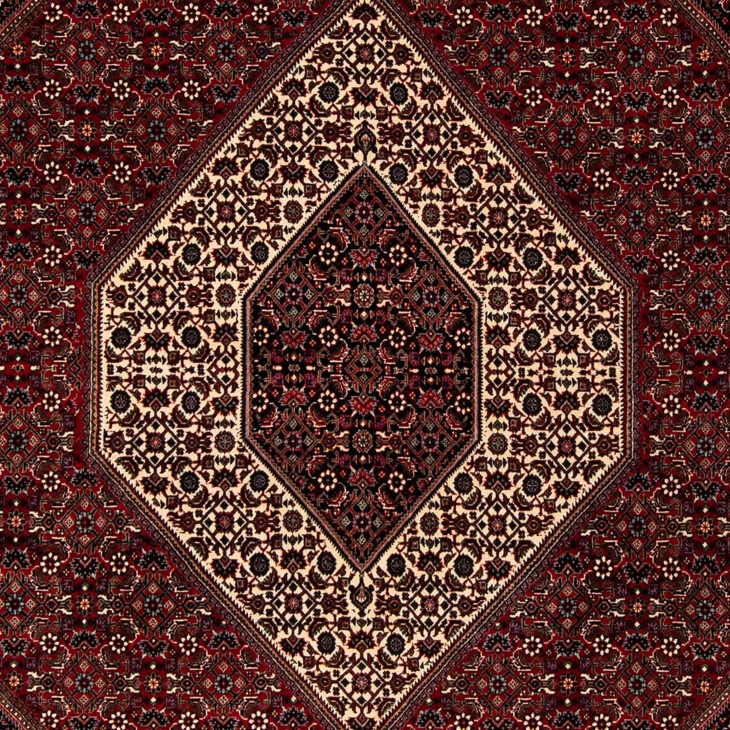 Perserteppich - Bidjar 251 x 203 cm