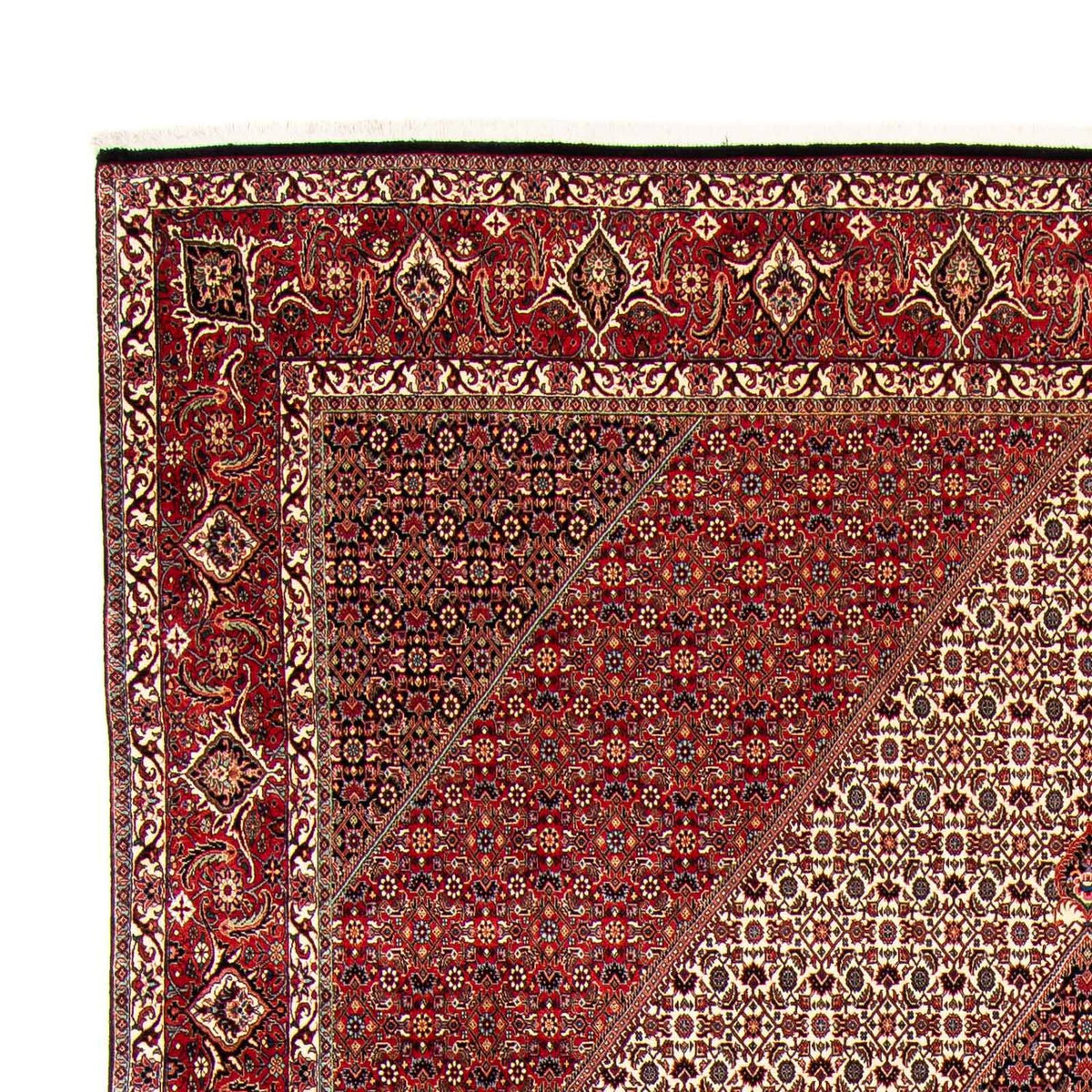 Tapis de Bidjar Tapis 298x404cm - Tapis persan
