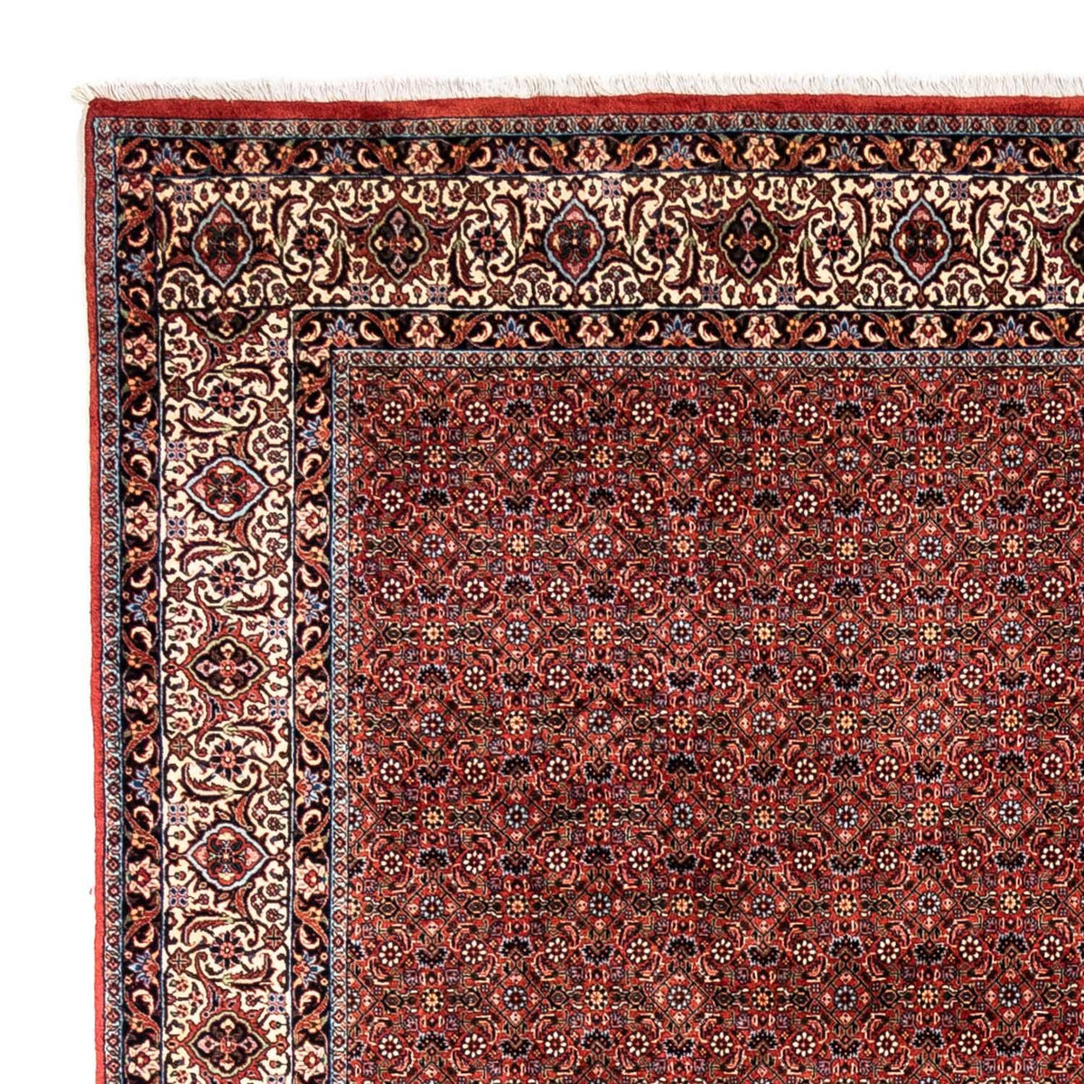 Perserteppich - Bidjar - Royal 363 x 248 cm - rot