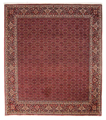 Perserteppich - Bidjar 288 x 256 cm