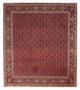 Perserteppich - Bidjar 288 x 256 cm