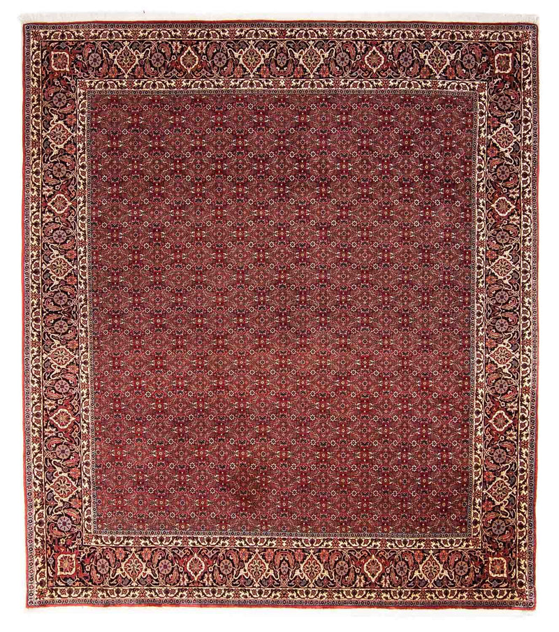 Perserteppich - Bidjar 288 x 256 cm
