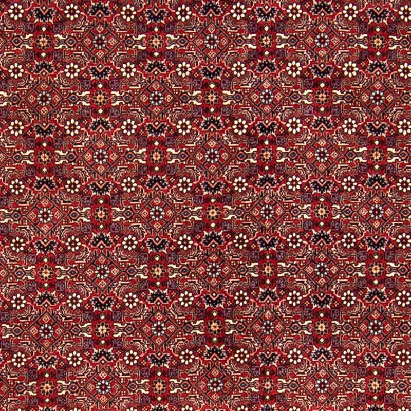Perserteppich - Bidjar 288 x 256 cm