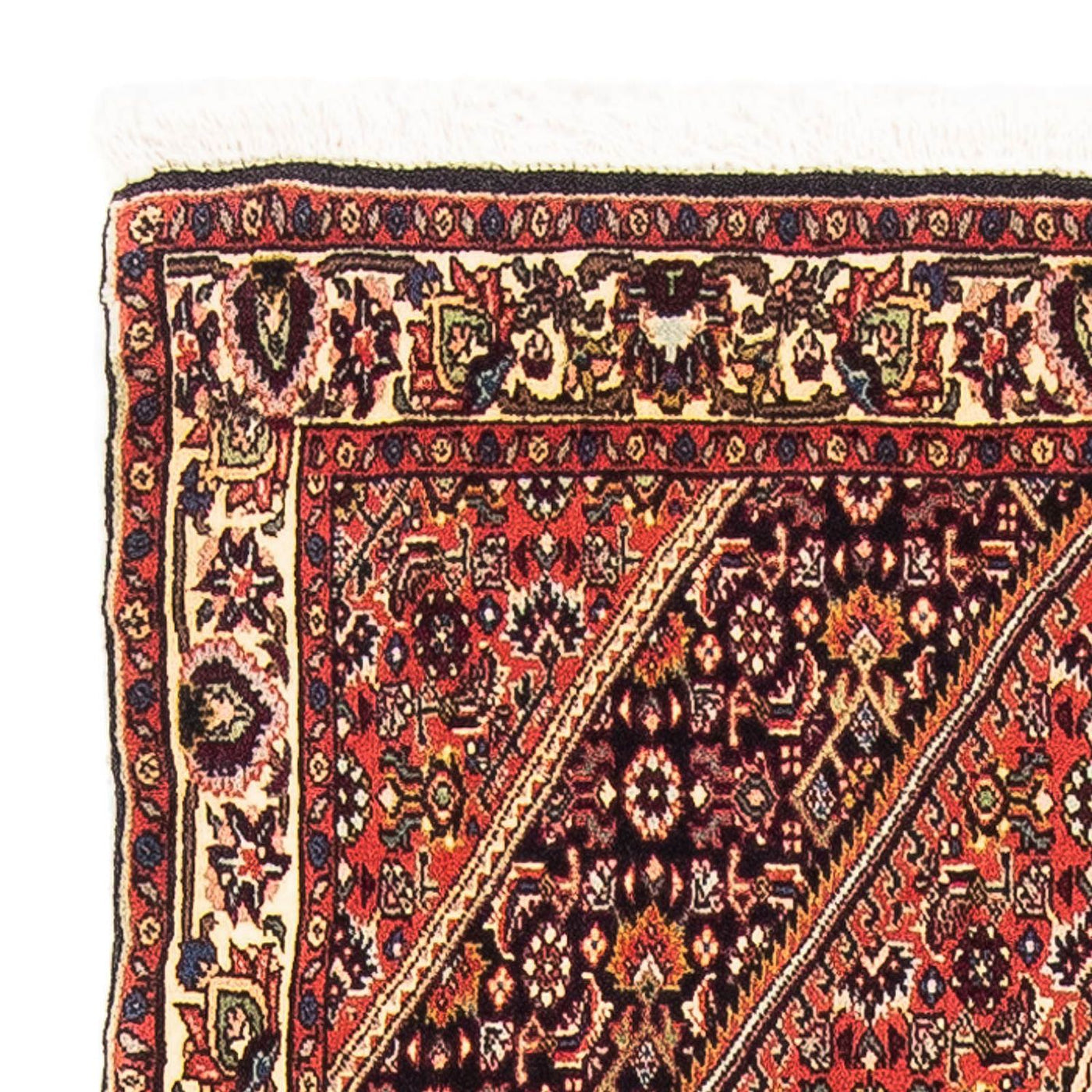 Bidjar - Zanjan Tapis 151x89cm - Tapis persan