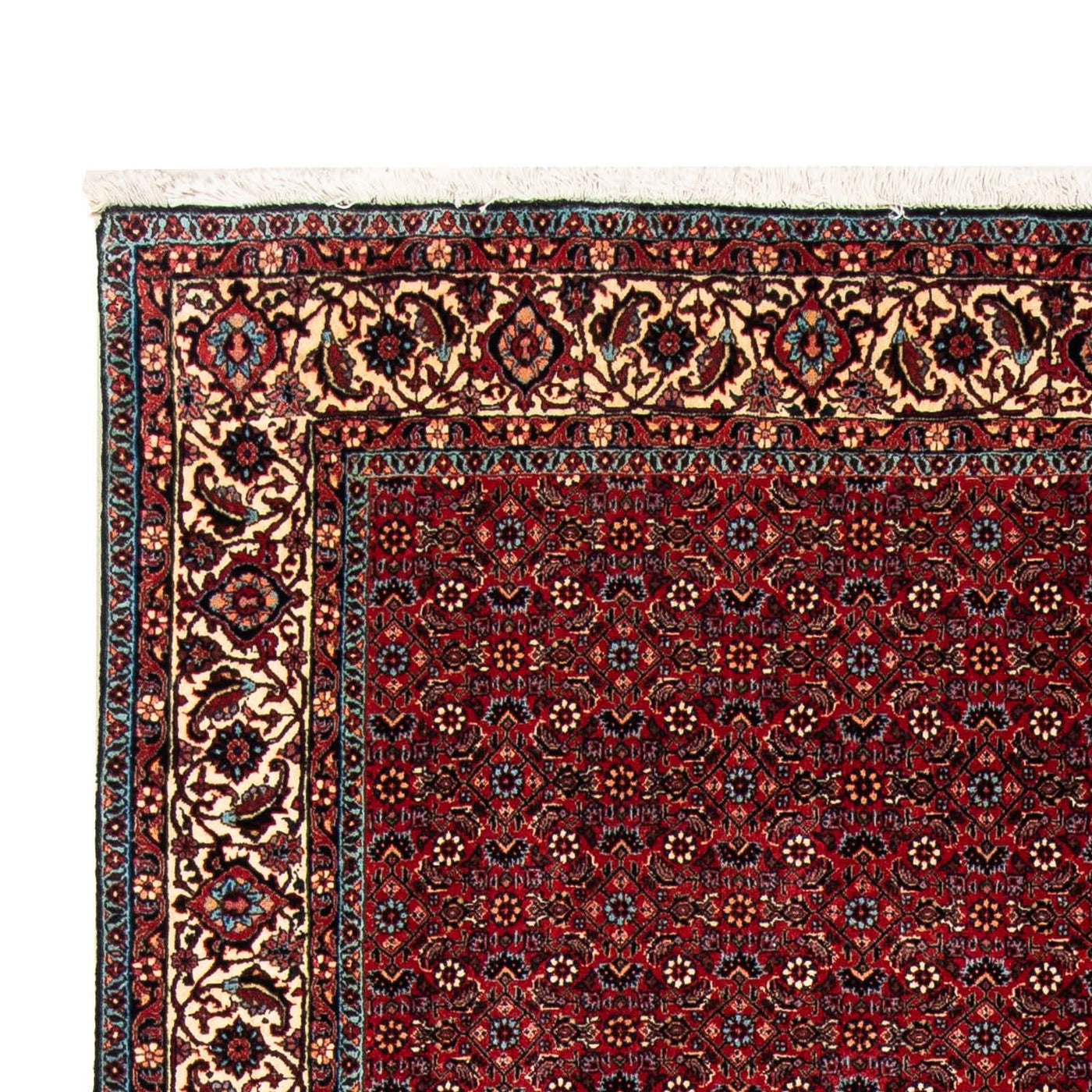 Tapis de Bidjar Tapis 243x172cm - Tapis persan