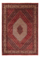 Perserteppich - Bidjar 248 x 171 cm