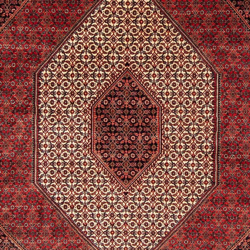 Perserteppich - Bidjar 248 x 171 cm