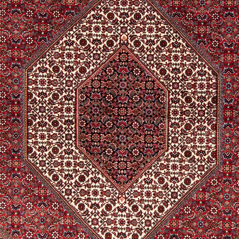 Perserteppich - Bidjar 246 x 171 cm