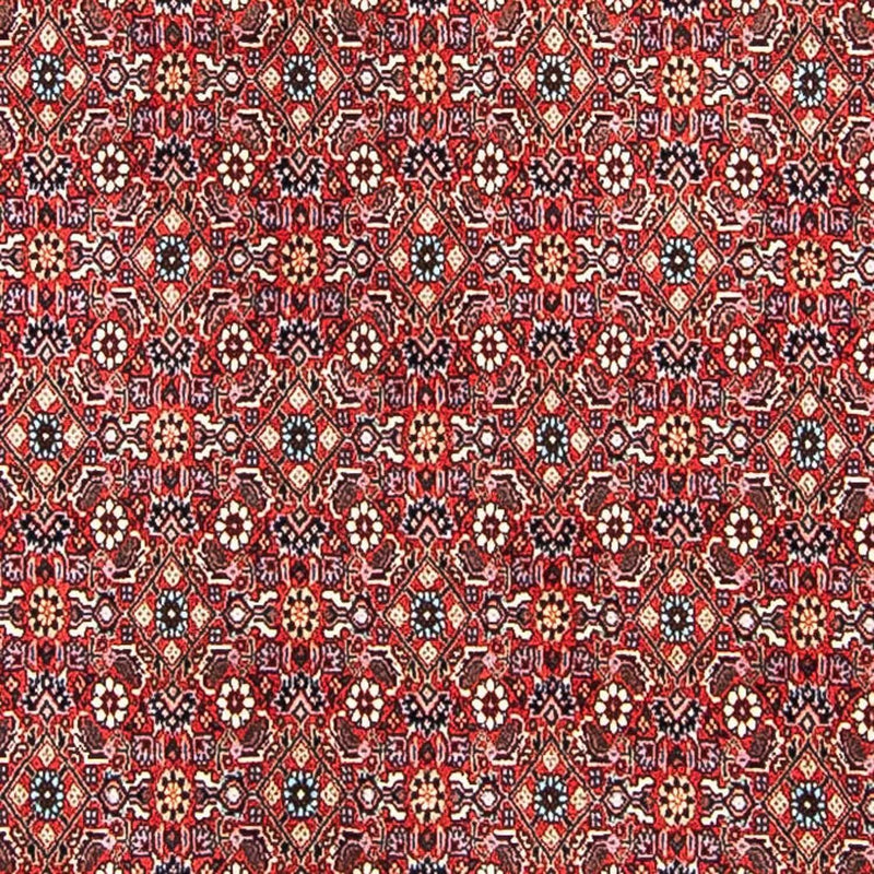Perserteppich - Bidjar 297 x 249 cm