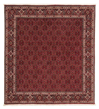 Tapis persan - Bidjar carré  - 212 x 206 cm - rouge foncé