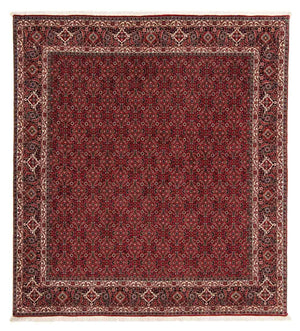 Perserteppich - Bidjar 212 x 206 cm