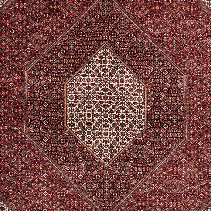 Perserteppich - Bidjar 304 x 204 cm