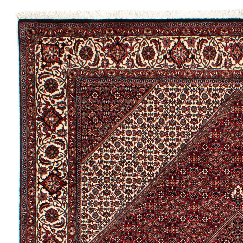 Perserteppich - Bidjar 304 x 204 cm