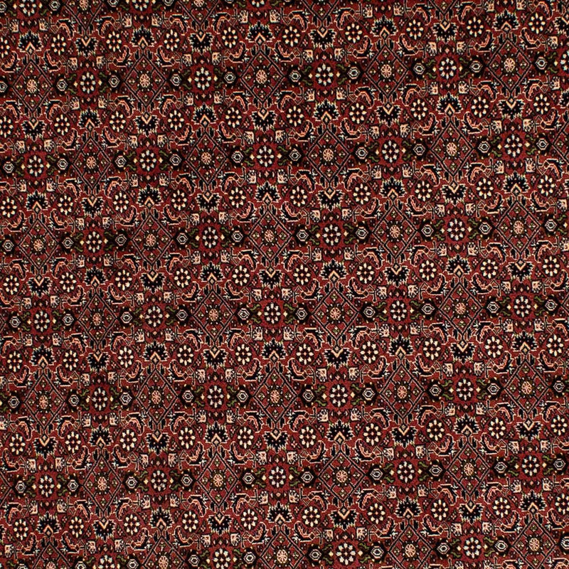 Perserteppich - Bidjar 293 x 198 cm