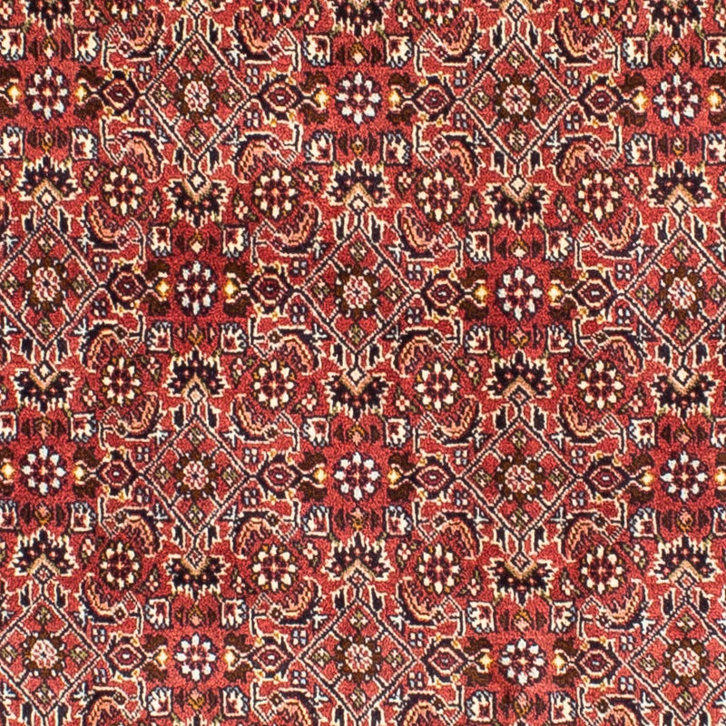 Perserteppich - Bidjar 197 x 190 cm