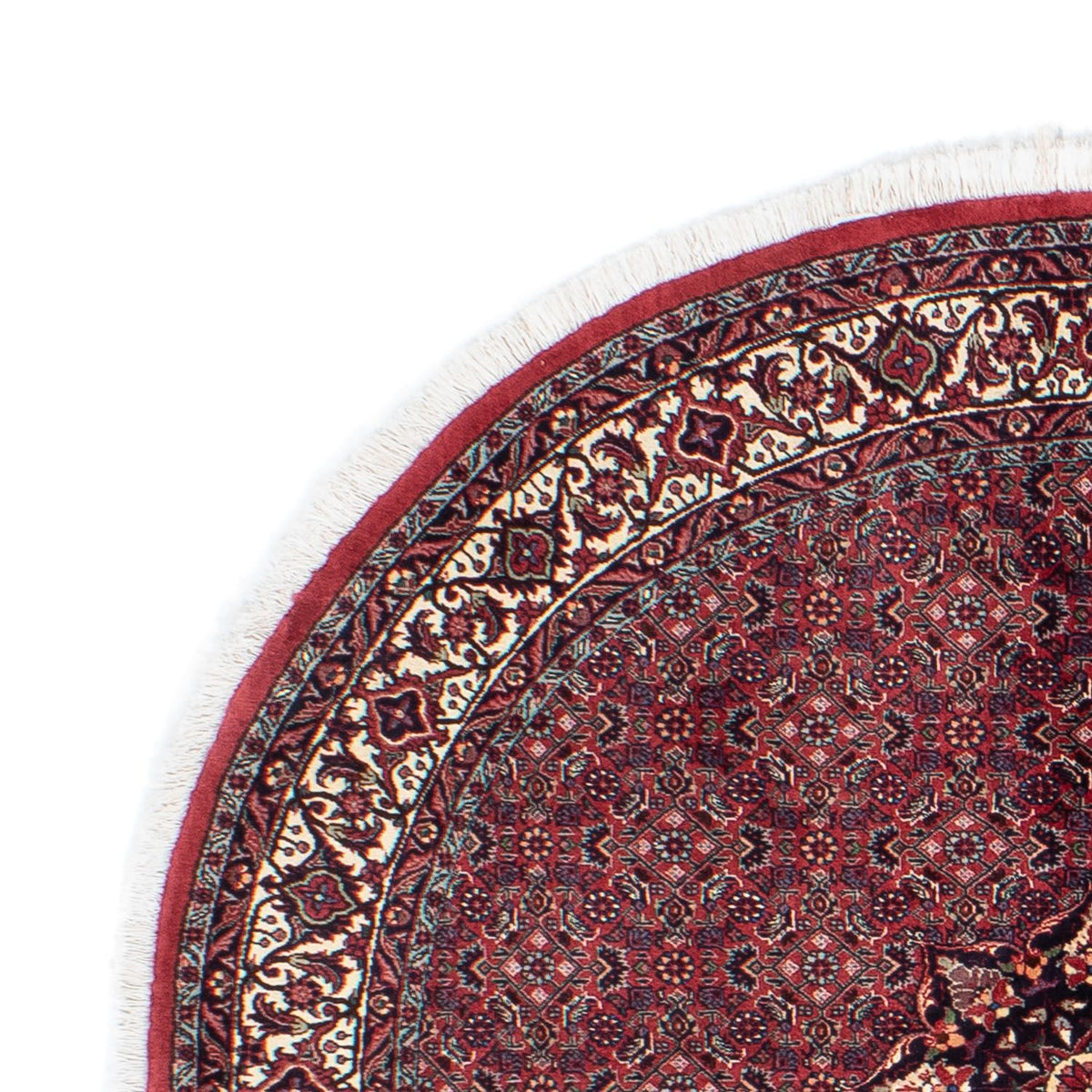 Bidjar Tappeto 150x150cm - Tappeto persiano