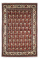 Gabbeh Teppich - Kaschkuli Persern 261 x 175 cm