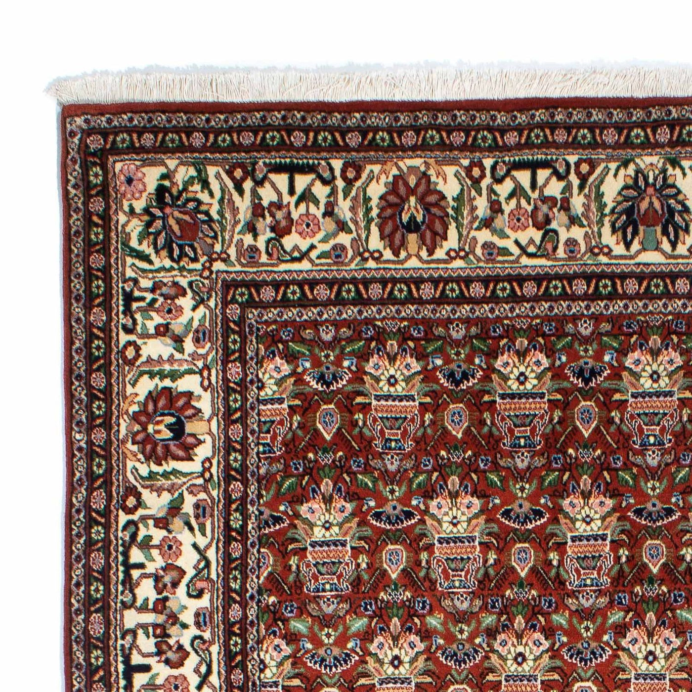 Kashkuli Tapis 261x175cm - Tapis persan