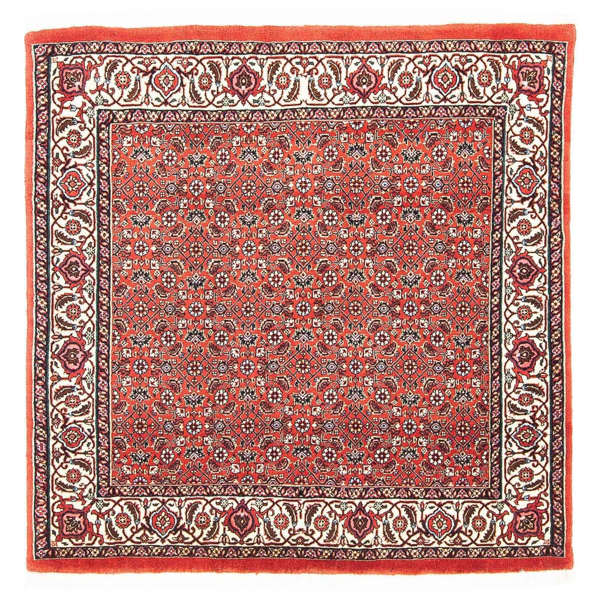 Perserteppich - Bidjar - Royal 97 x 95 cm Quadratischer Teppich
