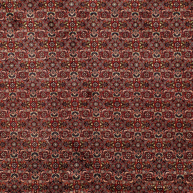 Perserteppich - Bidjar 298 x 202 cm - braun