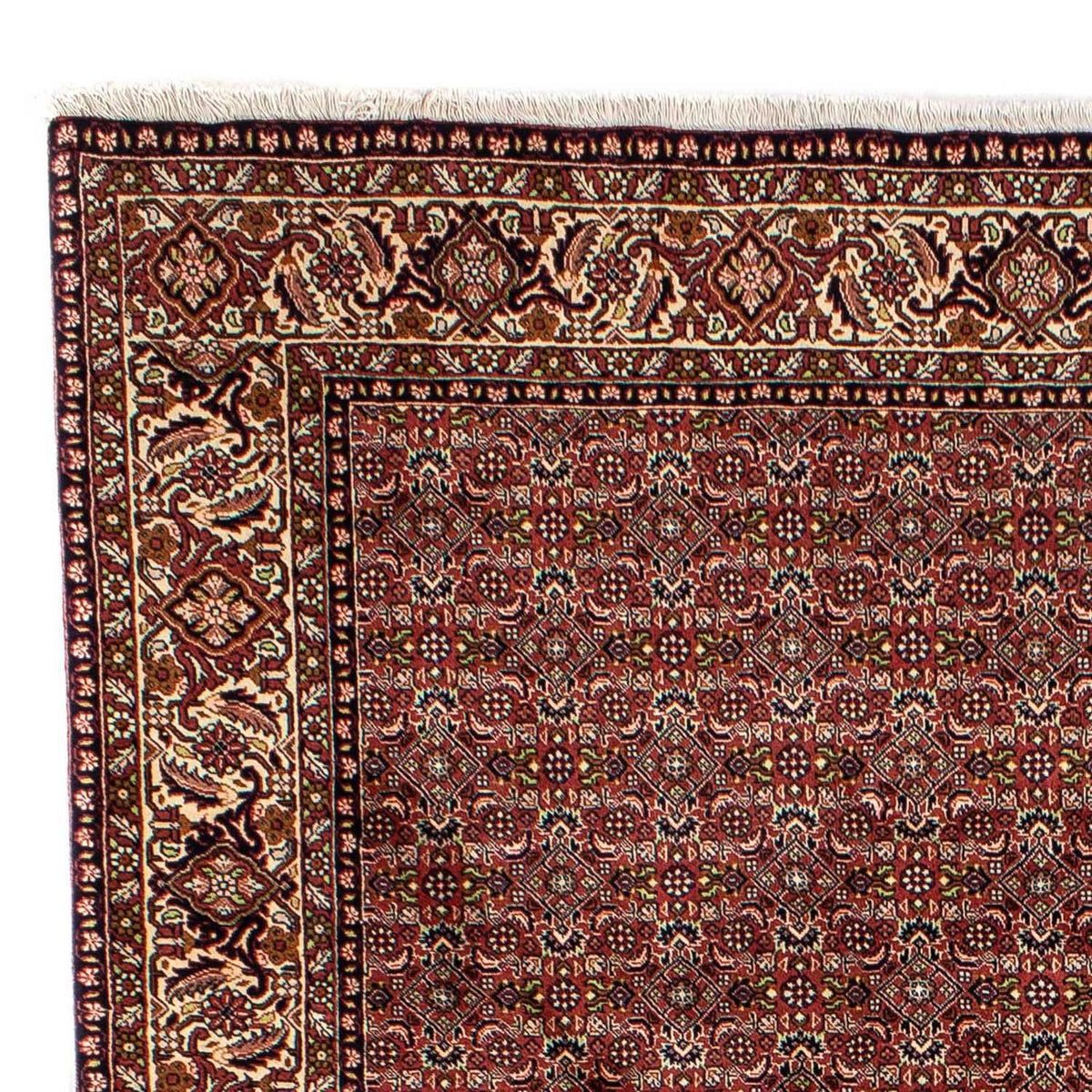 Tapis de Bidjar Tapis 202x298cm - Tapis persan