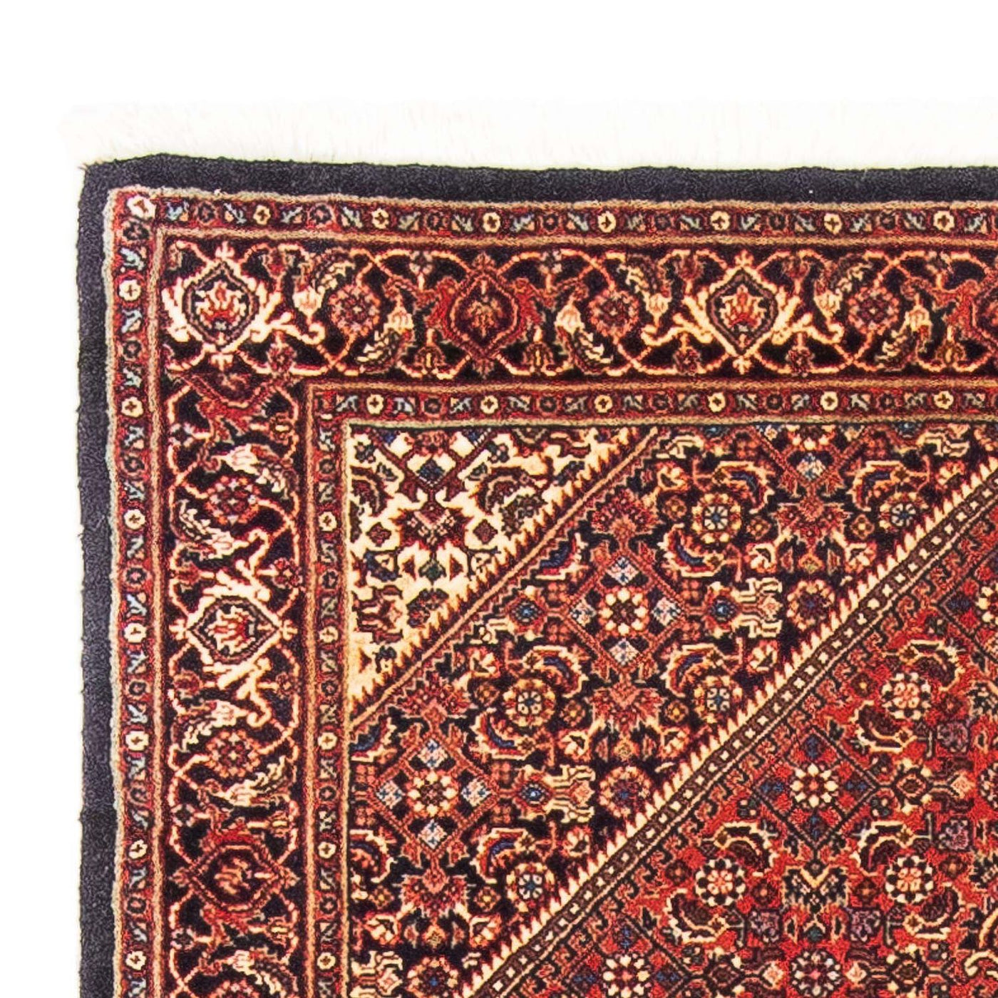 Tapis de Bidjar Tapis 153x92cm - Tapis persan