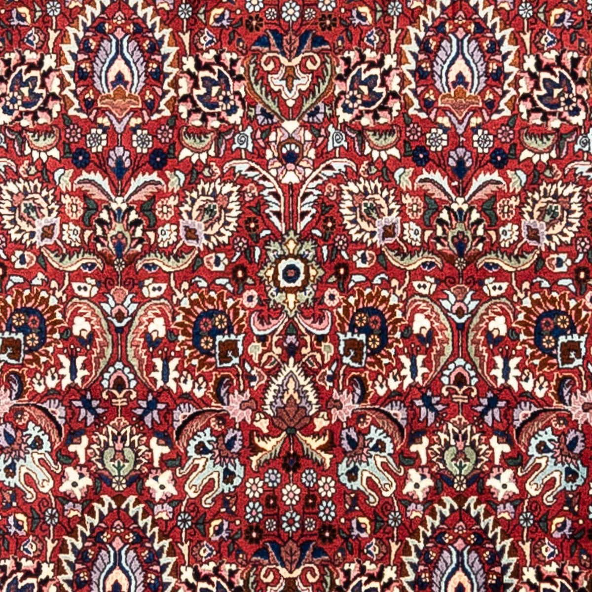 Perserteppich - Bidjar - Royal 343 x 255 cm - rot