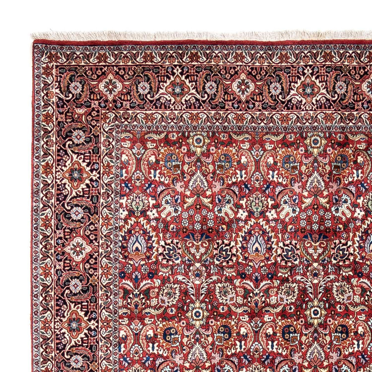 Perserteppich - Bidjar - Royal 343 x 255 cm - rot