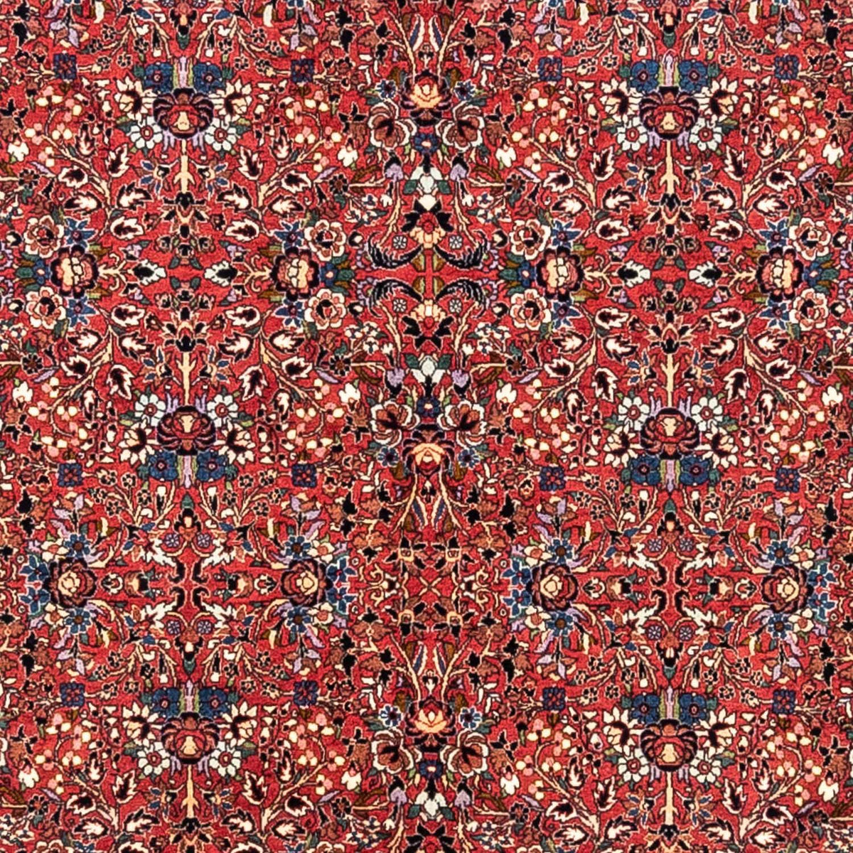 Perserteppich - Täbriz - Royal 346 x 250 cm - rot