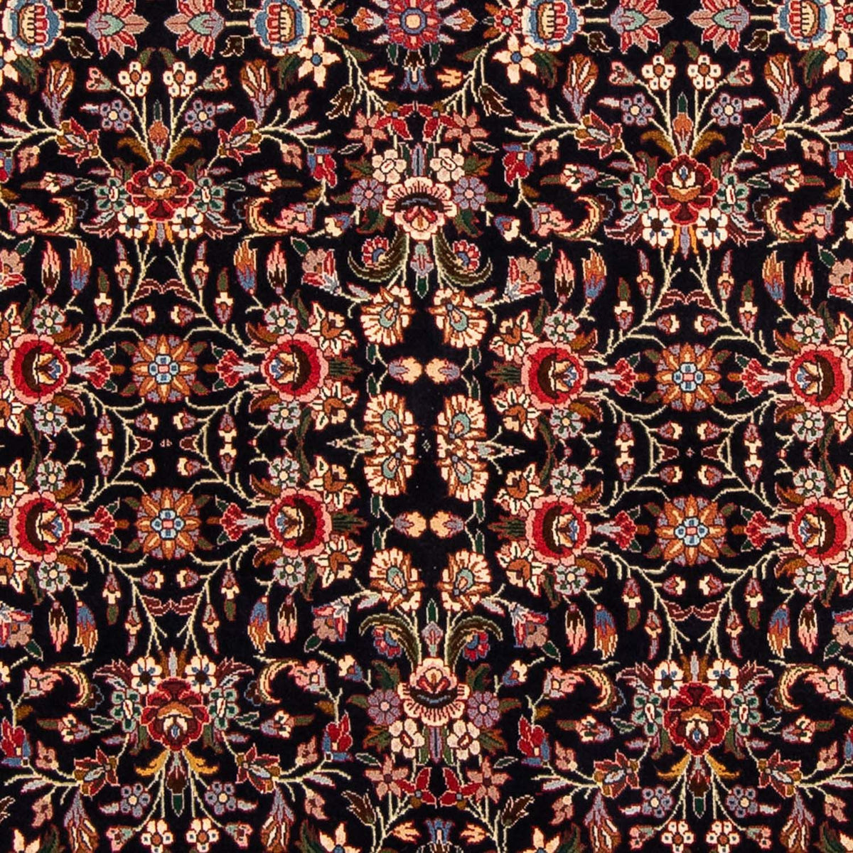 Perserteppich - Bidjar 266 x 150 cm