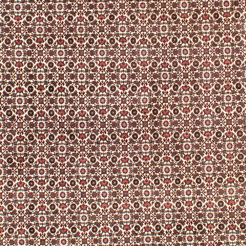 Perserteppich - Bidjar 294 x 200 cm