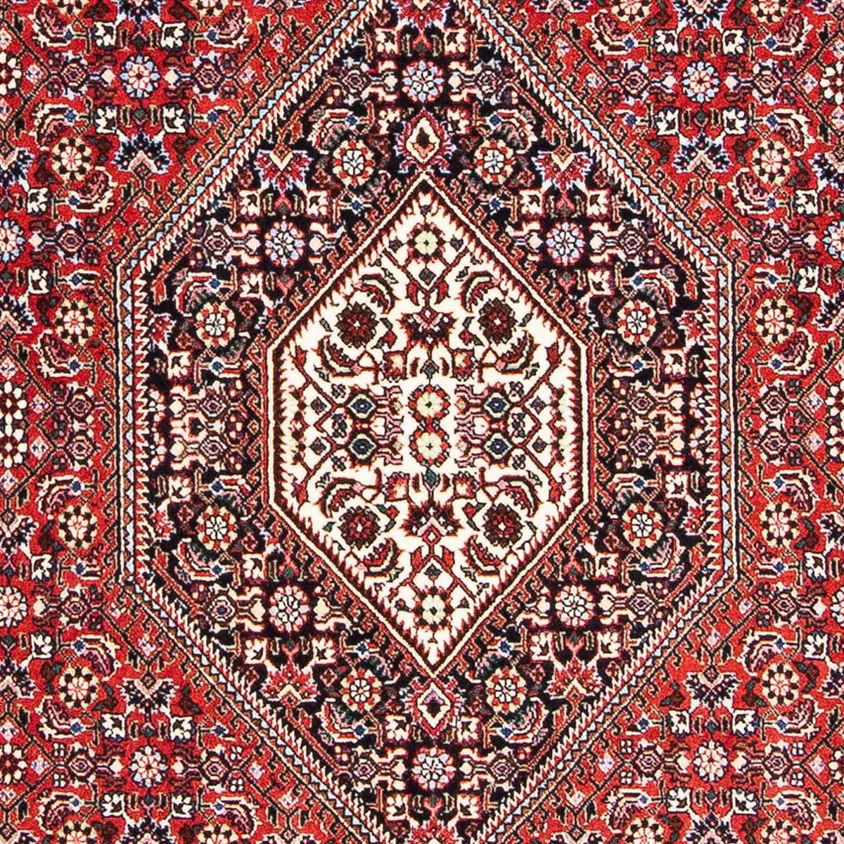 Perserteppich - Bidjar - Royal 173 x 111 cm - hellrot
