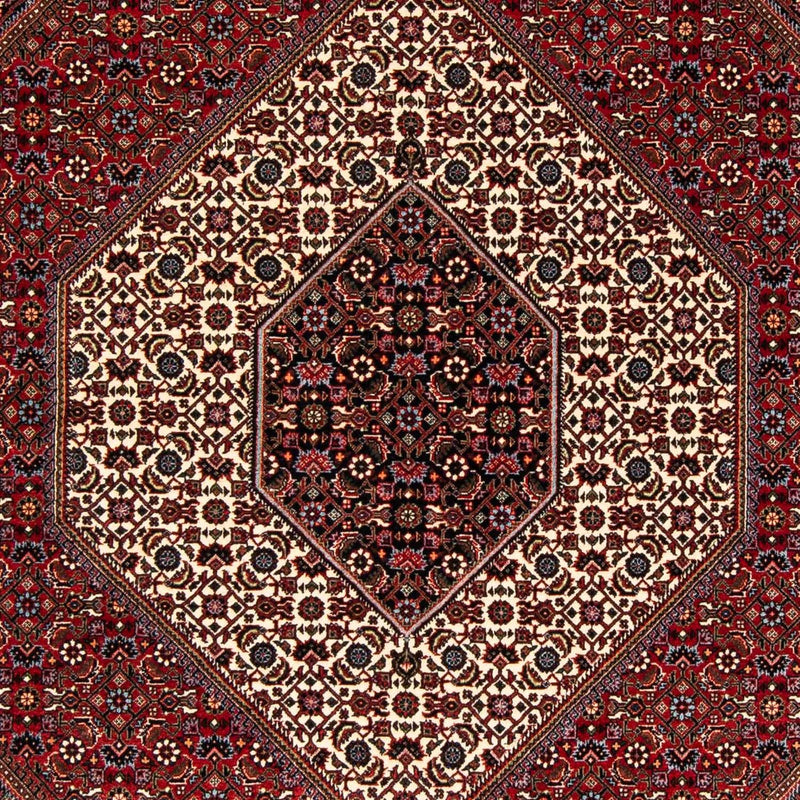 Perserteppich - Bidjar 245 x 172 cm