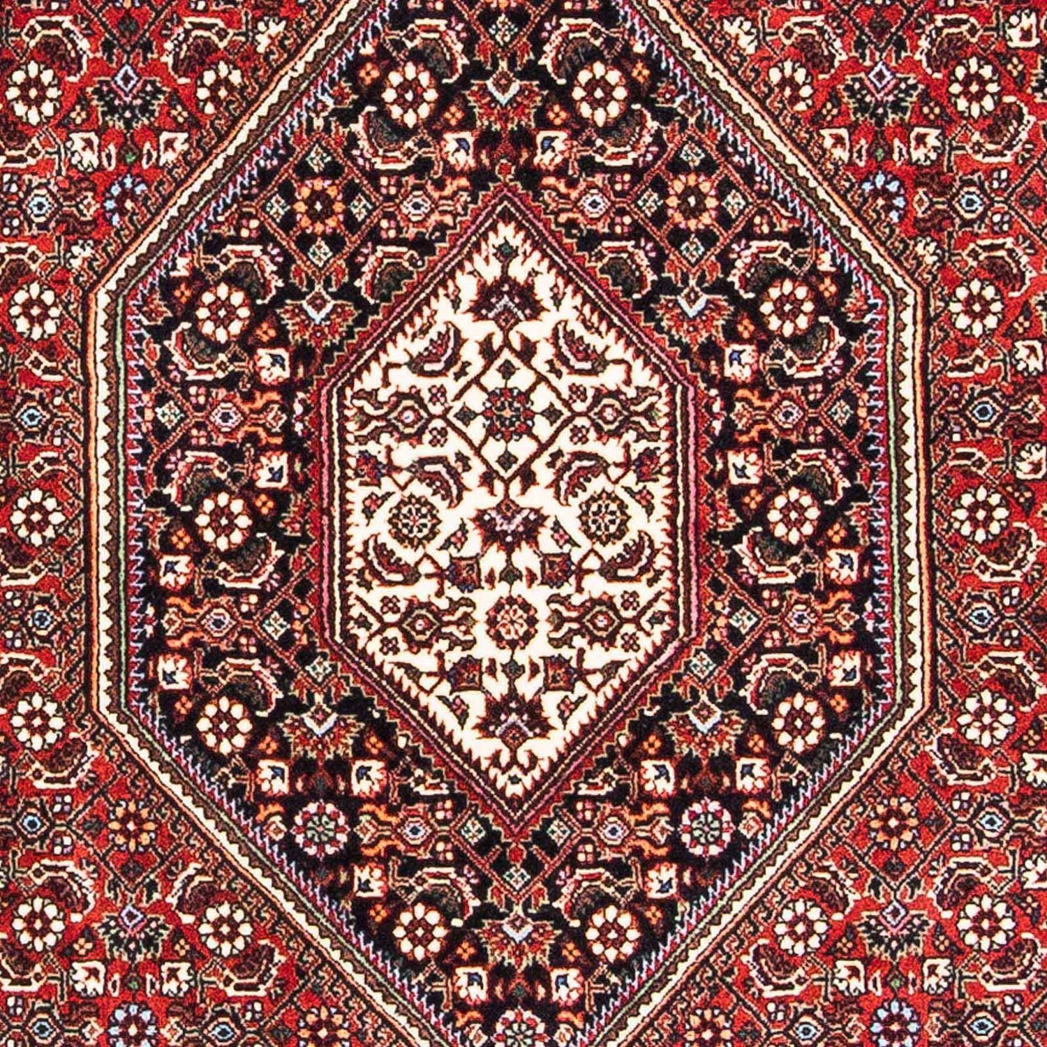 Perserteppich - Bidjar - Royal 182 x 109 cm