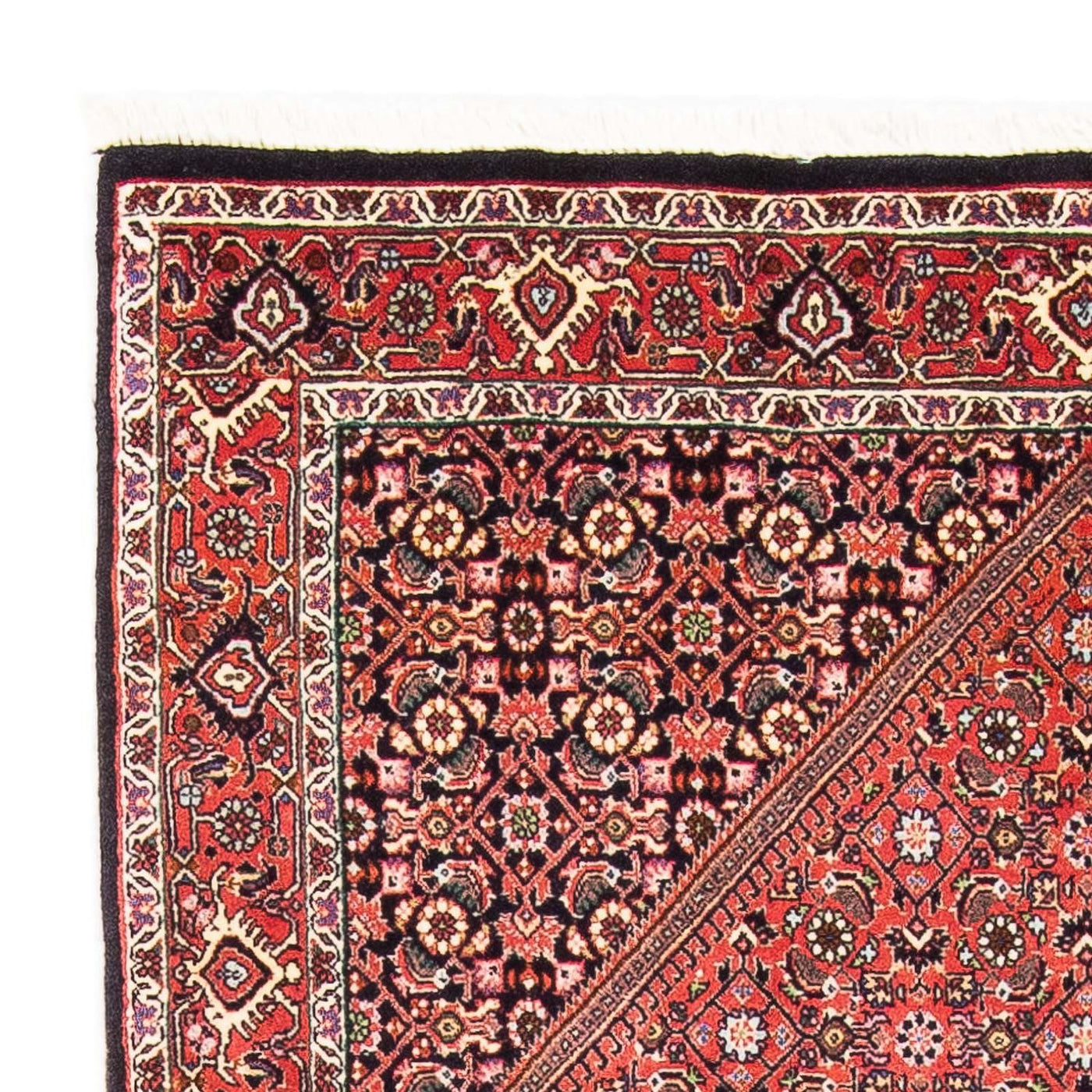 Bidjar Tappeto 179x108cm - Tappeto persiano
